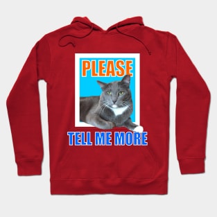 Please Tell Me More Meme Sarcastic Cat Hoodie